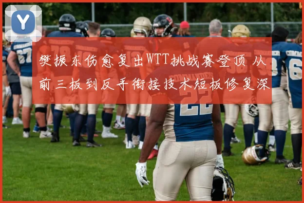樊振东伤愈复出WTT挑战赛登顶 从前三板到反手衔接技术短板修复深度解析