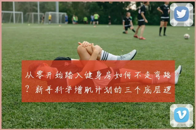 从零开始踏入健身房如何不走弯路？新手科学增肌计划的三个底层逻辑与四阶段安排