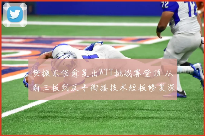 樊振东伤愈复出WTT挑战赛登顶 从前三板到反手衔接技术短板修复深度解析